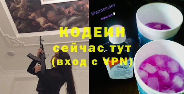 винт Лагань