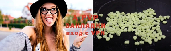 стаф Вуктыл