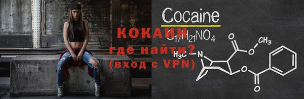 винт Лагань