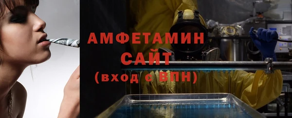 винт Лагань