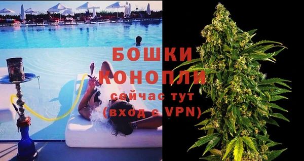 стаф Вуктыл