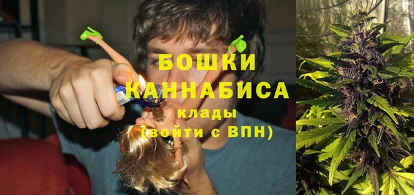 винт Лагань