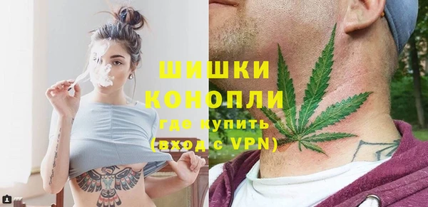 винт Лагань