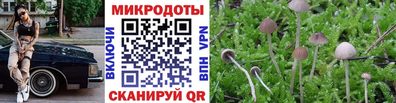 Галлюциногенные грибы мицелий  где продают   Липки 